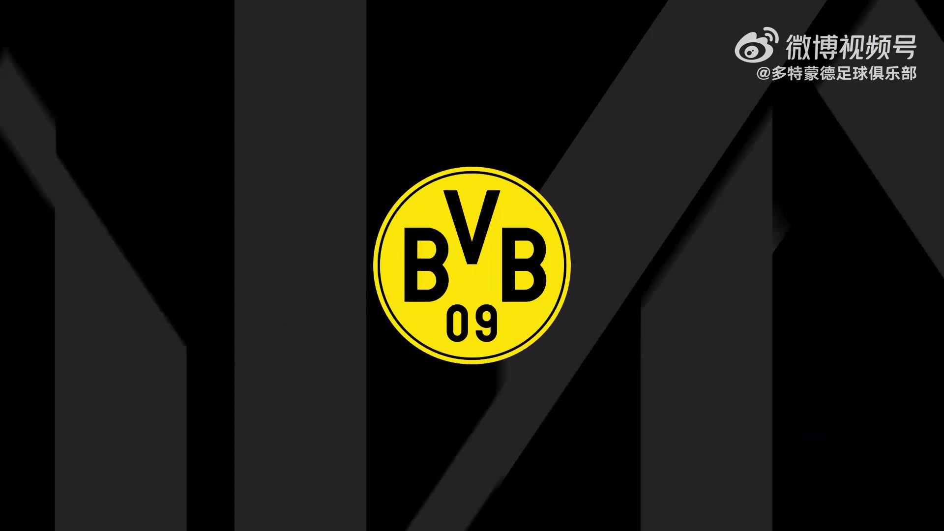 乐鱼-樊振东与波尔到访多特+踢球🤣樊振东调侃：尽力了但踢得不咋地